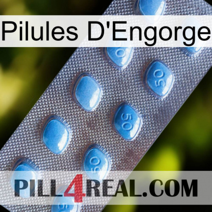 Engorge Pills viagra3